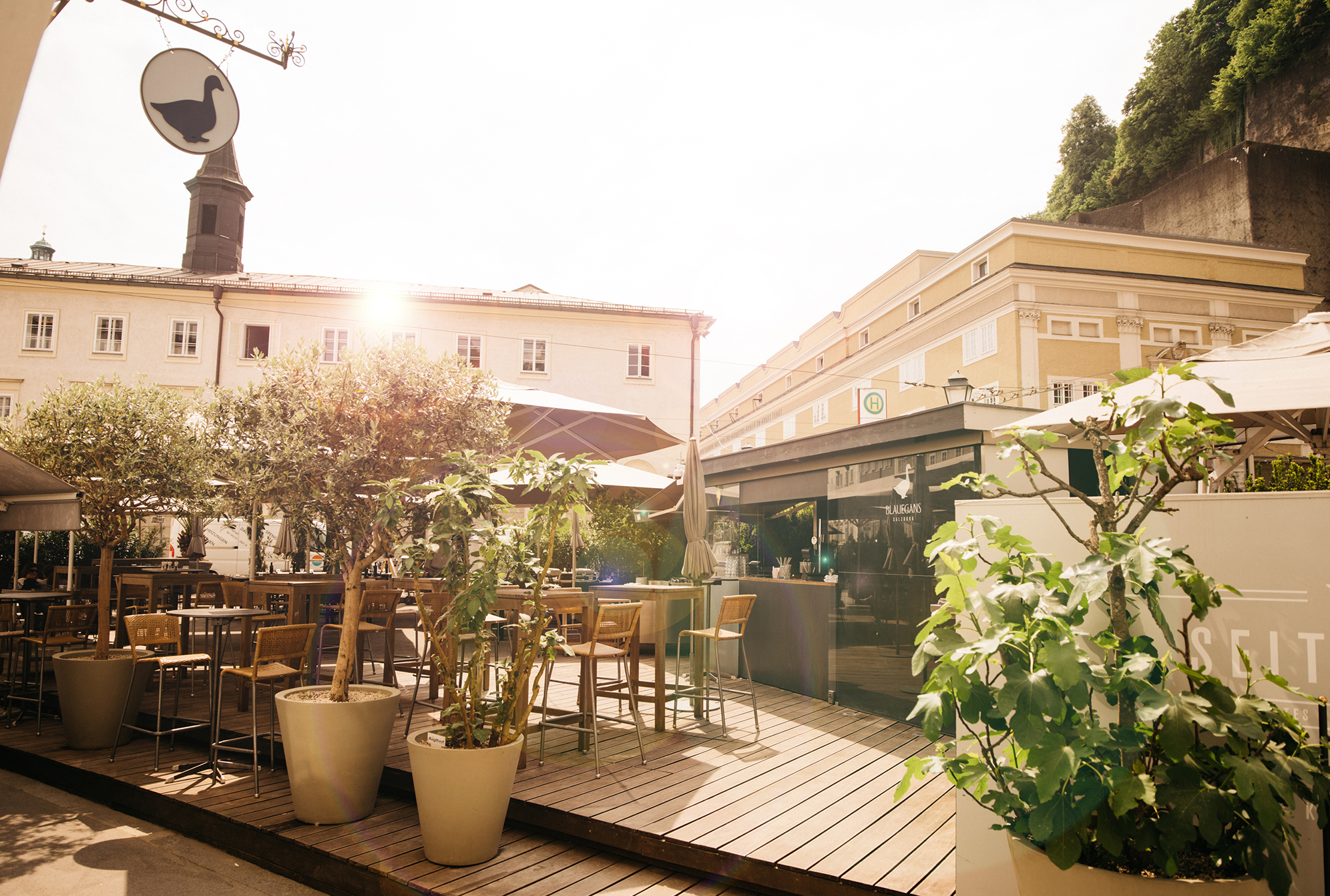 ArtHotel Blaue Gans Tourismusverband Salzburger Altstadt